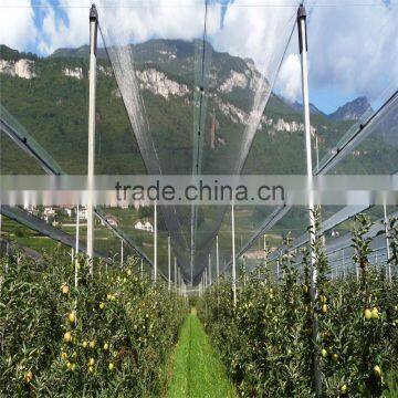 Customed Vineyard Anti Hail Net/Anti-hail Net photo-2