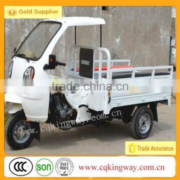 Three Wheel Passenger Cabinet Cargo Motorcycle With Food Fruit Plate Tricycle photo-6