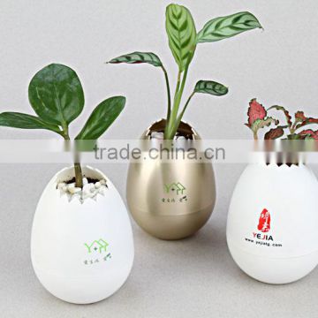 Magic Elf eggshell flower pot