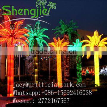 SJLJ01160 Outdoor Lighted Palm Tree Artificial Palm Led Tree photo-2