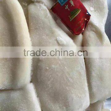 High Quality Squid tube from China on Hot Sale