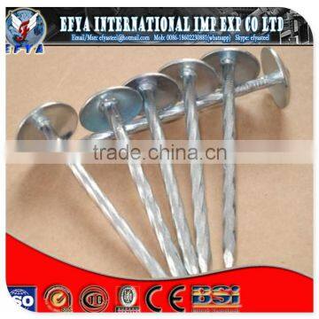 Umbrella Head Smooth Roof Nail