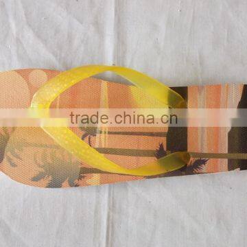 Colorful Unisex Flip Flops/Factory Cheap Beach Slipper photo-3