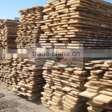 White Birch Timber photo-4