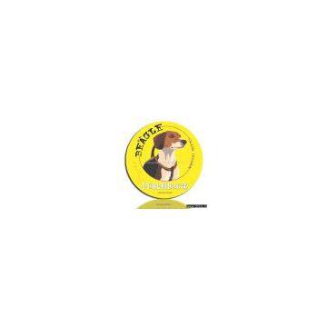 Business Magnets