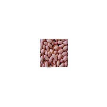 Peanut kernel