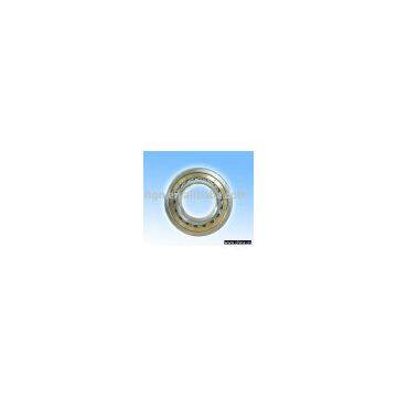 cylindrical roller bearing