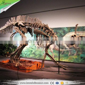 KAWAH Fatanstic Handmade Life Size Animal Dinosaur Fossil Replica