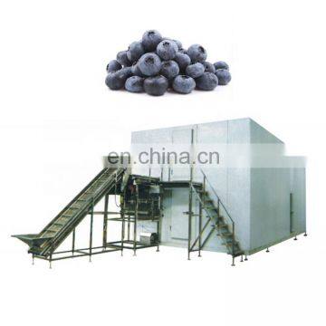 Hot sale IQF berry industrial air blast freezers machine