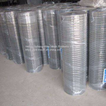 4*4 Welded Wire Mesh For Welded Wire Mesh Roll photo-5