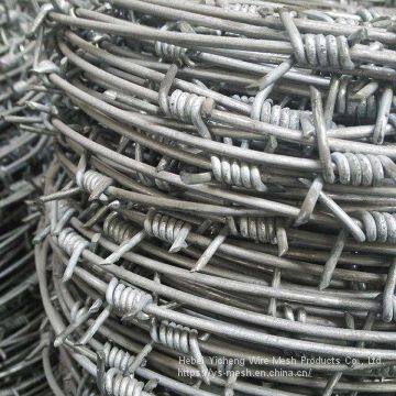 Galvanized or PVC Coated Barbed Wire Cheap Barbed Wire photo-4