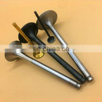 Auto Spare Parts Engine Valve for Daewoo Labo Carga Damas Matiz 2000 OEM IN 94580146 & EX 94581486 photo-5