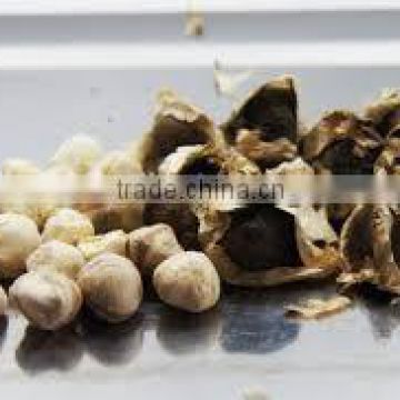 Premium quality Moringa seeds for export