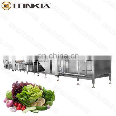 Industrial vegetable leaf cleaning machine cabbage pok choi fruit and vegetable washing drying machine vegetable washing line