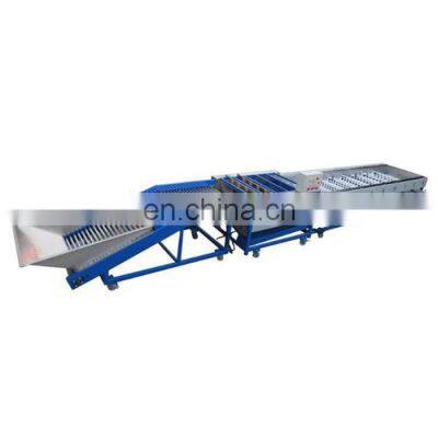 Production Line for Cleaning and Air-drying Sorting of Fruits and Vegetables photo-4