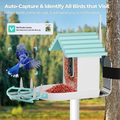 OEM/ODM Indoor Outdoor Wifi Bird Feeder Camera Night View Ai Bird Recognition Feeder Camera 3MP Solar Bird Feeder With Camera