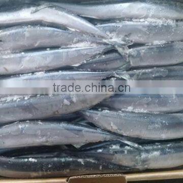 2015 Seafrozen Pacific Saury Whole Round 0#:140g+ photo-2