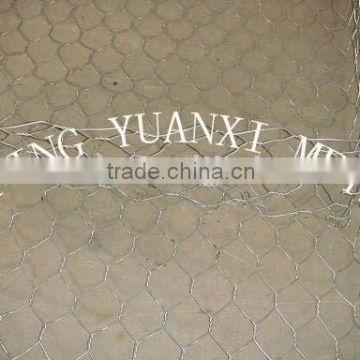 Gabion(Hexagonal wire mesh)