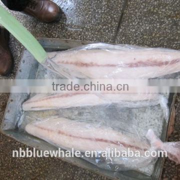 Fresh Frozen Oilfish fillets Hot saleing