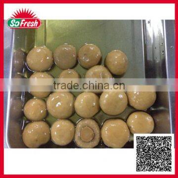 Bulk wholesale china newly canned whole mushroom canned