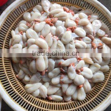 Top quality Frozen cuttlefish roe fresh cuttlefish egg for sale