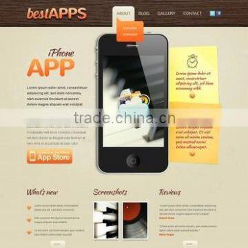 Customized Software Development photo-2