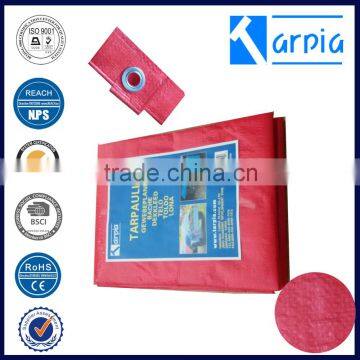 Korea Good Quality pe Tarpaulin for Swimming Pool, Seat Cover photo-3