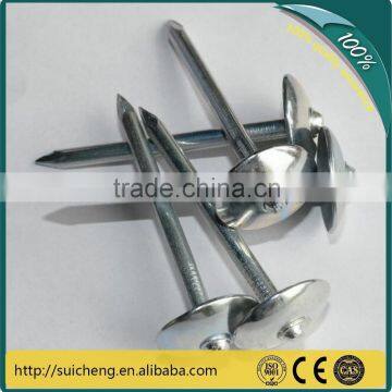 Guangzhou factory Free Sample Galvanized Roofing Nail /Roofing Nails Galvanizing 20Kg per carton