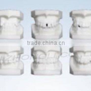 Orthodontic classification model ( onecolor , a set of 10 groups ),dental orthodontic models