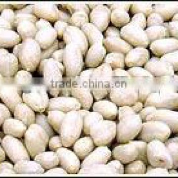 chinese blanched peanut kernels new crop