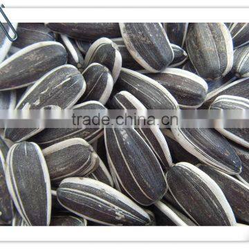 Sunflower Seeds 5009 0409 photo-2