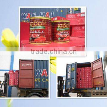 competive of price canned tomato paste tomato paste 1000g