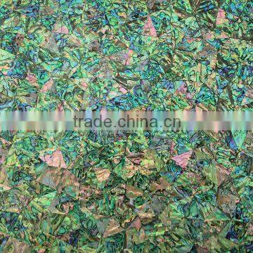 Abalone mother of pearl paua seashell mosaic wall tile