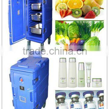 Cold insulated cabinet, food pan carrier, food container