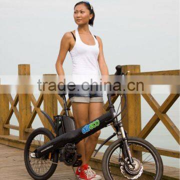 Fashionable electric bike in show---Seagull 20''