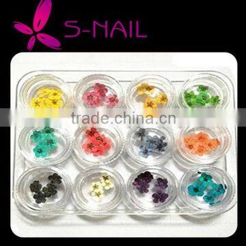 Hot sell nail art natural dried flowers for nail art decoration,nail accessory
