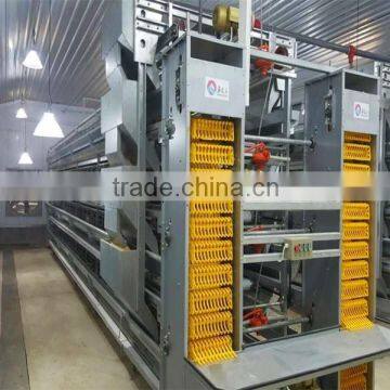 Hot Selling H Type Automatic Poultry Farm Layer Cage In Algeria