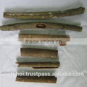 High Quality Cassia (website: Vietkhoico.ltd) photo-4