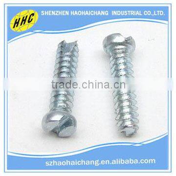 China customized manufacturer nonstandard stainless steel slotted screw