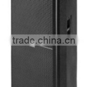 Professional Speaker photo-2