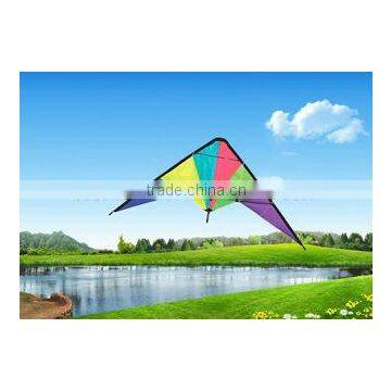 Dual Line Delta Stunt Kites - Straight Edge Kites