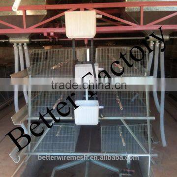 BT Factory New designhot-sale H type chiken cages for broilers in Kenya