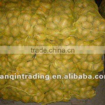 chinese big fresh potato supplier