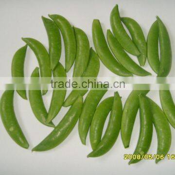 china fresh snow pea and sugar snap 2015 new crop