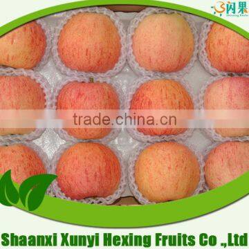 Fresh Apple Different Varieties Different Size With Best Price photo-1