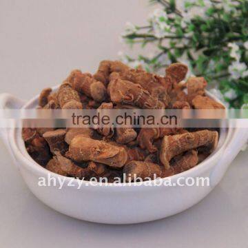 Dried galangal (gaoliangjiang)