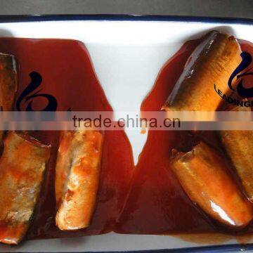 canned mackerel in tomato sauce Processing Extra Fine Quality Top Selling