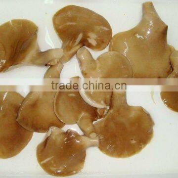 Oyster Mushroom Canned