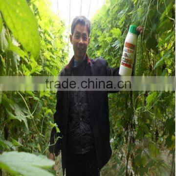 Qingdao manufacturer liquid Chitosan fertilizer