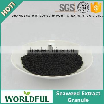 Deep irrigation water soluble organic seaweed extract granule for agriculture